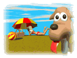 animierte-strand-bilder-Hund